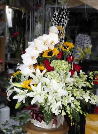 Hoa chúc mừng 07_Hoa tươi 360