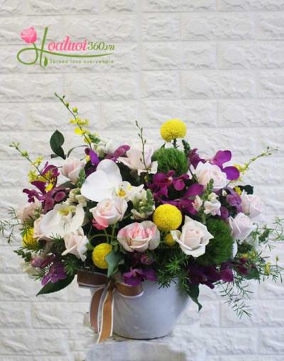 Hoa chúc mừng - Như khúc tình ca