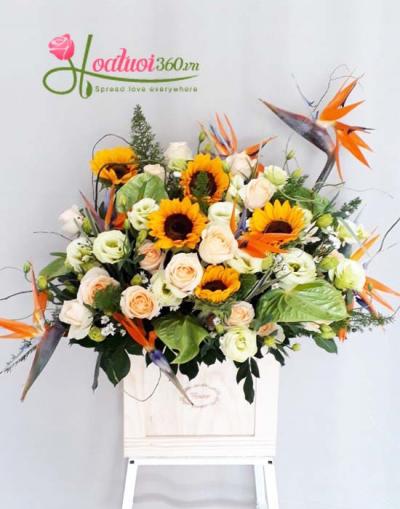 Hoa chúc mừng- Sự giàu sang