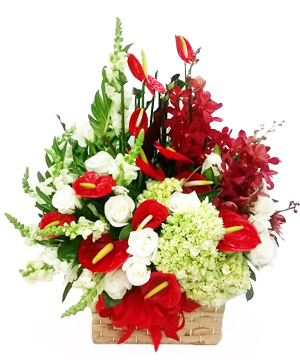 Hoa đỏ 05_Hoa tươi 360