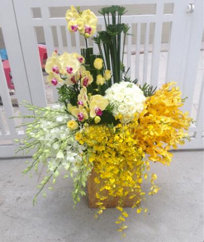 Hoa chúc mừng 05_Hoa tươi 360