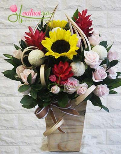 HOA HỘP GỖ- SẮC MÀU MAY MẮN