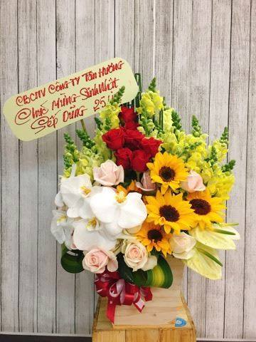 Tôn vinh phái đẹp